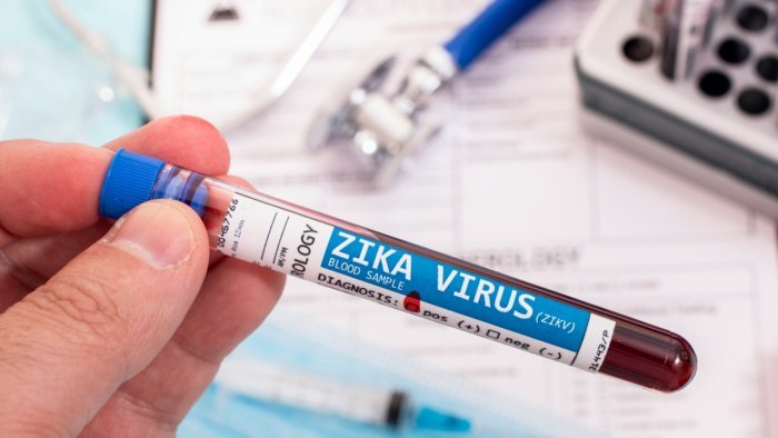 Zika virus