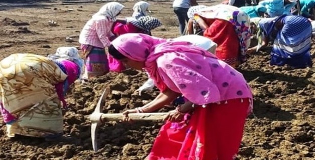 मजदूर दिवस पर विशेष रिपोर्ट…ग्रामीण परिवारों की कमाई में मनरेगा से महिलाओं की हिस्सेदारी बढ़ी