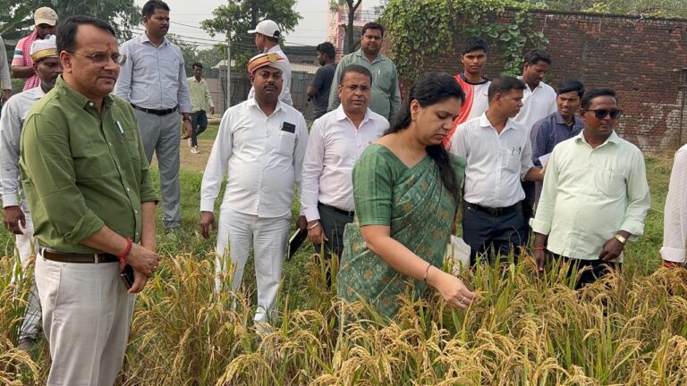 देवरिया : खरीफ फसल धान की गुणवत्ता को परखतीं डीएम दिव्या मित्तल।