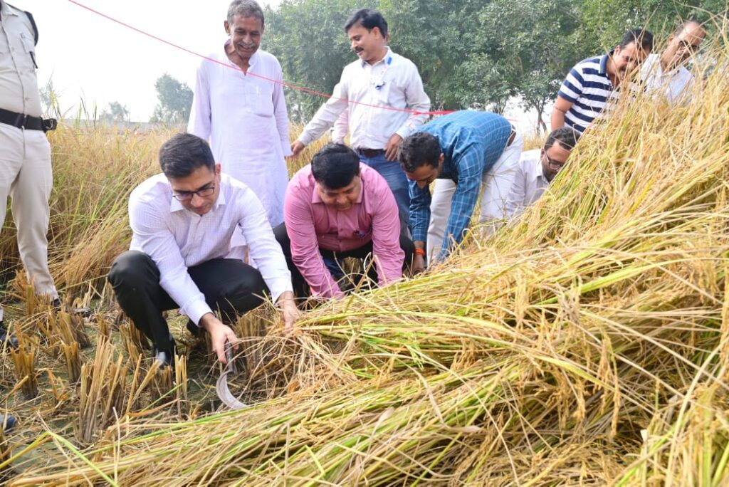 बिहार : धान की कटाई करते मोतिहारी डीएम सौरभ जोरवाल।