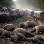 राजधानी एक्सप्रेस